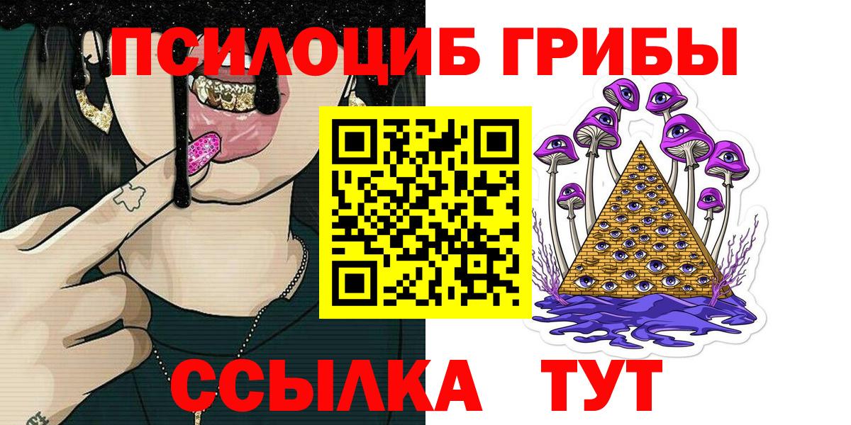 Галлюциногенные грибы Cubensis  Вход с VPN  Зима 