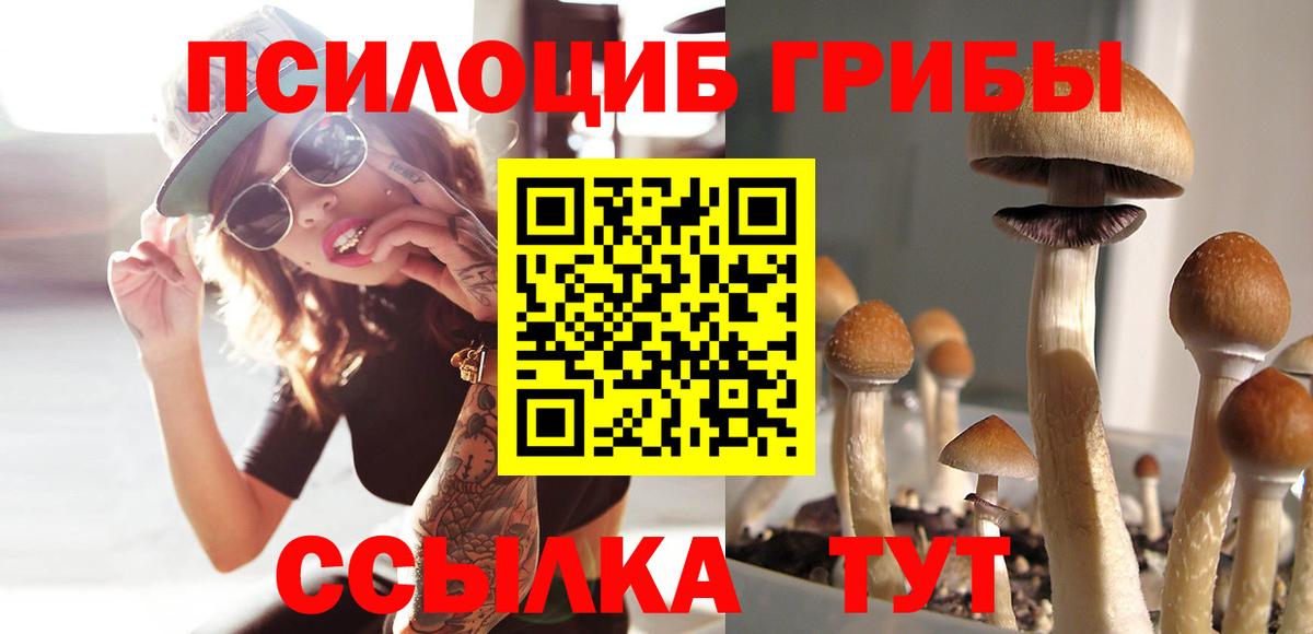 Галлюциногенные грибы Cubensis Зима